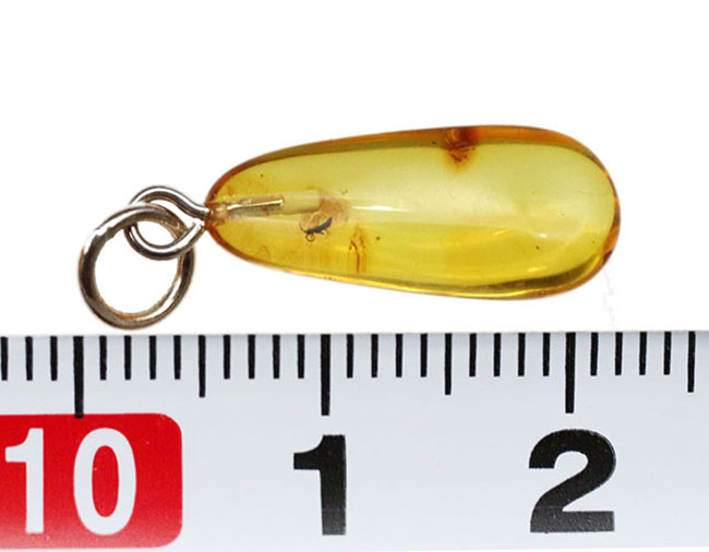 リトリアニンゴールド！愛らしいサイズの虫を内包したバルト海産琥珀（Amber）を使ったペンダントトップ（シルバーチェーン、高級ジュエリーケース付き。）（その6）