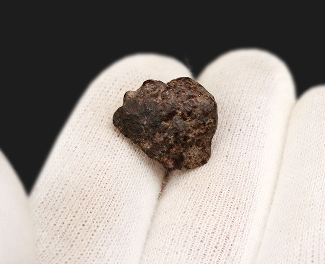 明瞭な溶融皮殻に注目! 太陽系形成時に起源を持つとも言われる、アフリカ大陸北西部で発見された石質隕石 NWA 869(その3)