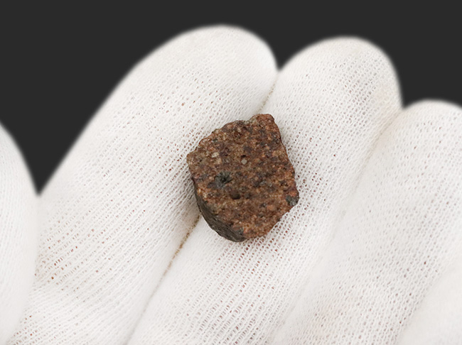 明瞭な溶融皮殻に注目！ 太陽系形成時に起源を持つとも言われる