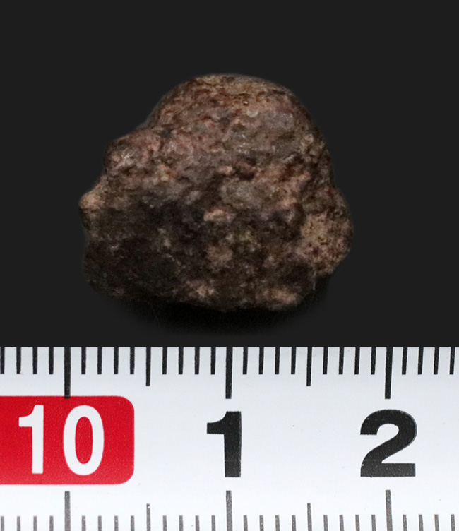 明瞭な溶融皮殻に注目！ 太陽系形成時に起源を持つとも言われる