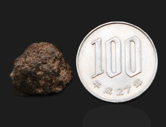 明瞭な溶融皮殻に注目！ 太陽系形成時に起源を持つとも言われる