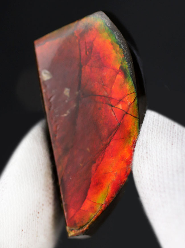 生物起源の宝石、アンモライト(Ammolite)ならではの濃い「朱色」を呈する、上質のピース(その2)
