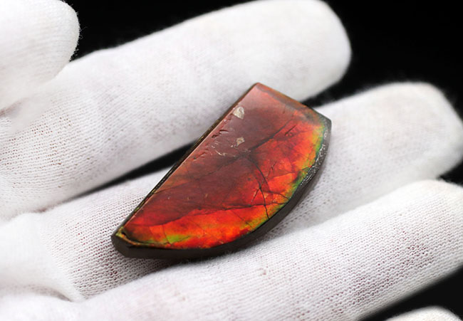 生物起源の宝石、アンモライト(Ammolite)ならではの濃い「朱色」を呈する、上質のピース(その3)