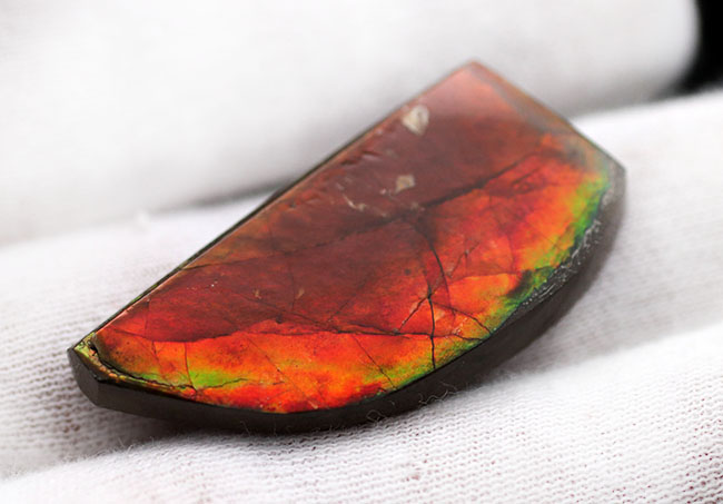 生物起源の宝石、アンモライト(Ammolite)ならではの濃い「朱色」を呈する、上質のピース(その4)
