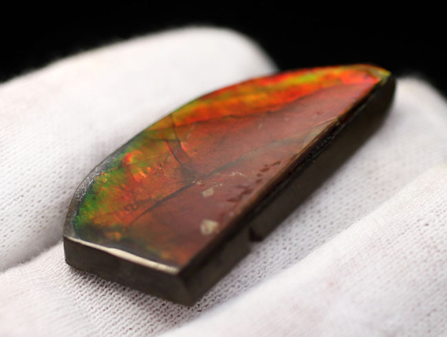 生物起源の宝石、アンモライト(Ammolite)ならではの濃い「朱色」を呈する、上質のピース(その5)