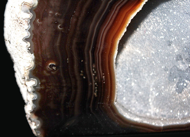 深いブラウンを呈する、典型的なブラジル産メノウ（Agate）。左右２０センチ、２．５キログラム弱の重厚感あふれる標本です（その4）