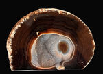 深いブラウンを呈する、典型的なブラジル産メノウ（Agate）。左右２０センチ、２．５キログラム弱の重厚感あふれる標本です