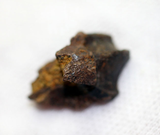 化石 A-10 化石 A-10 1984-1989 Nissan 300ZX Nissan 300zx Z32 Jdm 1999