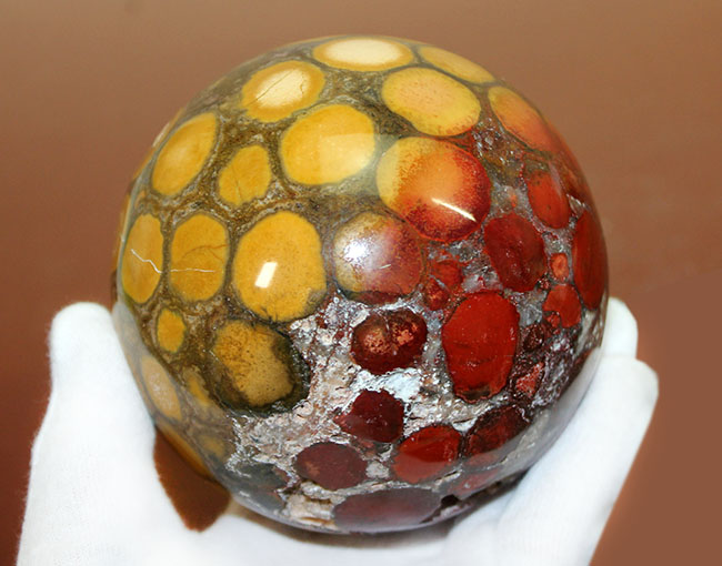 ジャスパーの王様、キングコブラオービキュラージャスパー（Orbicular Jasper）が登場。特大サイズで、なおかつ最高品費。１３００グラムオーバー！（その1）