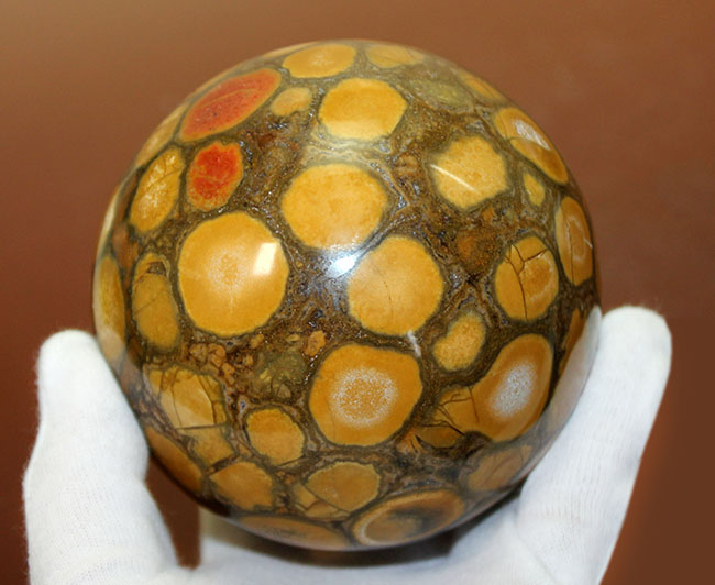 ジャスパーの王様、キングコブラオービキュラージャスパー(Orbicular Jasper)が登場。特大サイズで、なおかつ最高品費。1300グラムオーバー!(その12)