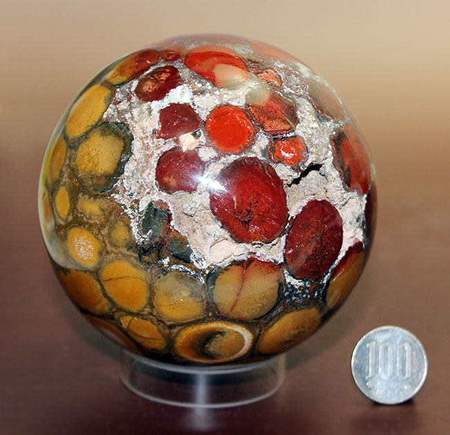 ジャスパーの王様、キングコブラオービキュラージャスパー(Orbicular Jasper)が登場。特大サイズで、なおかつ最高品費。1300グラムオーバー!(その13)