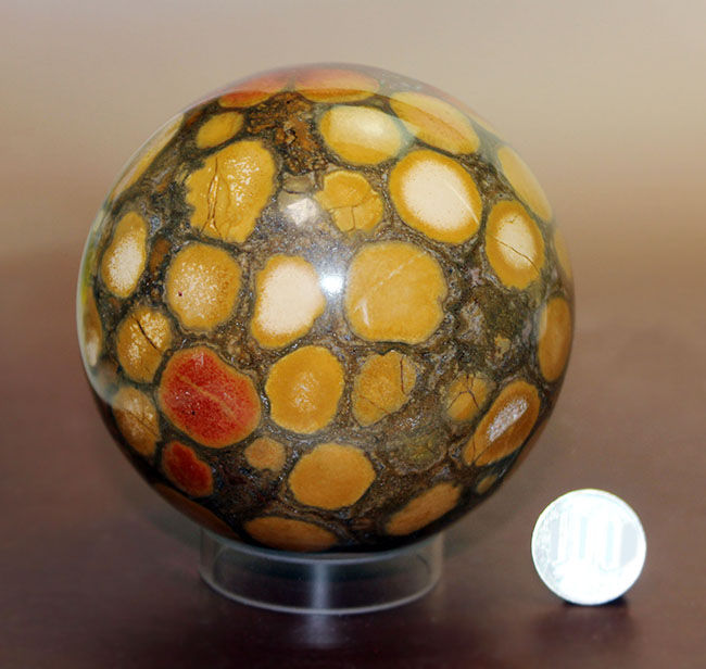 ジャスパーの王様、キングコブラオービキュラージャスパー（Orbicular Jasper）が登場。特大サイズで、なおかつ最高品費。１３００グラムオーバー！（その14）