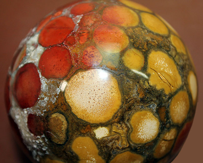 ジャスパーの王様、キングコブラオービキュラージャスパー(Orbicular Jasper)が登場。特大サイズで、なおかつ最高品費。1300グラムオーバー!(その3)