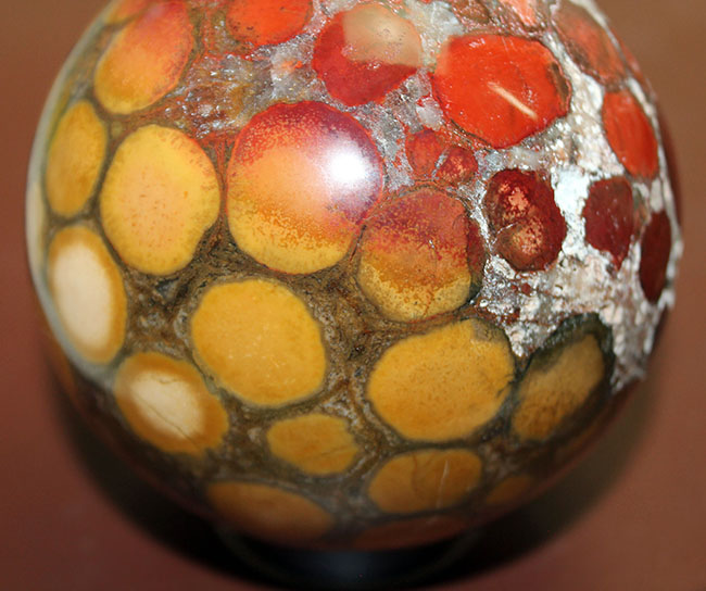 ジャスパーの王様、キングコブラオービキュラージャスパー(Orbicular Jasper)が登場。特大サイズで、なおかつ最高品費。1300グラムオーバー!(その4)