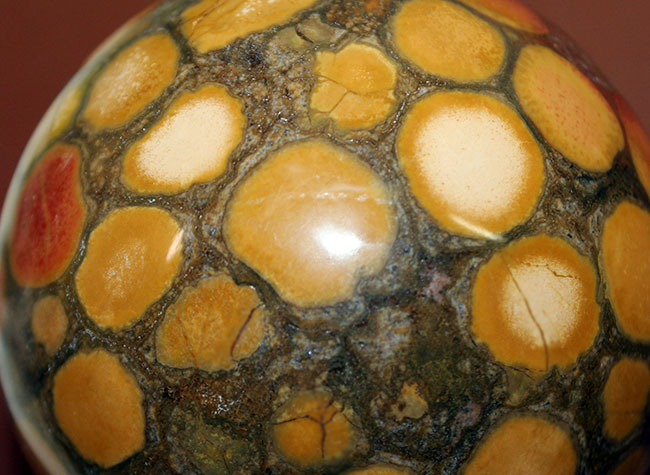 ジャスパーの王様、キングコブラオービキュラージャスパー（Orbicular Jasper）が登場。特大サイズで、なおかつ最高品費。１３００グラムオーバー！（その7）