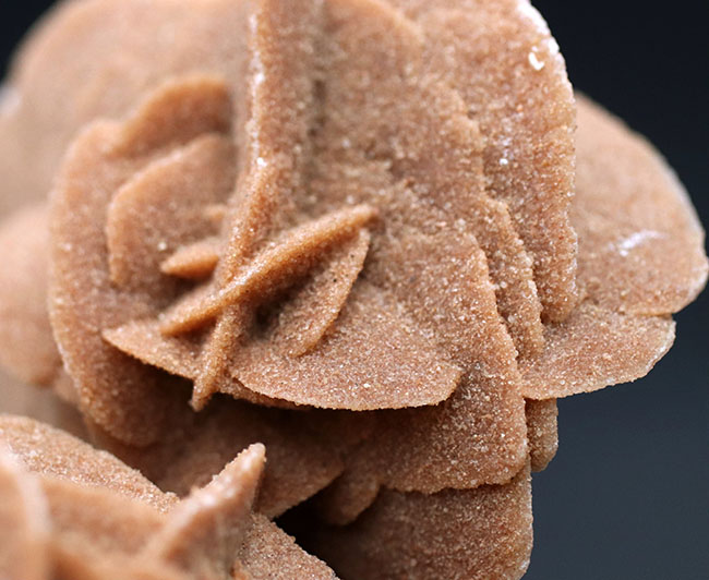 500グラムオーバー、大きな花弁状の結晶に成長したジプサム、その名は砂漠のバラ(Desert Rose)(その4)