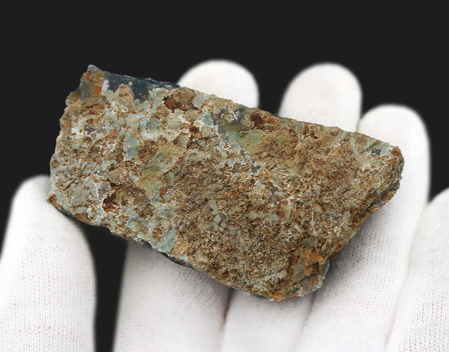 サービスプライス!産状が保存された天然アメシスト(Amethyst)の原石(その5)