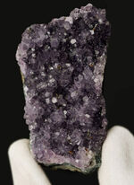 サービスプライス！産状が保存された天然アメシスト（Amethyst）の原石