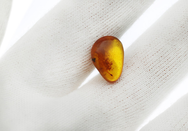 小さいけれどロマンの塊！およそ３０００万年前の虫の断片を内包したドミニカ産の琥珀（Amber）（その4）