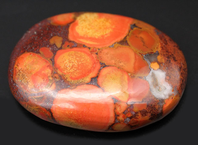 円環状の模様が毒々しい！ジャスパーの王様、キングコブラオービキュラージャスパー（Orbicular Jasper）（その1）