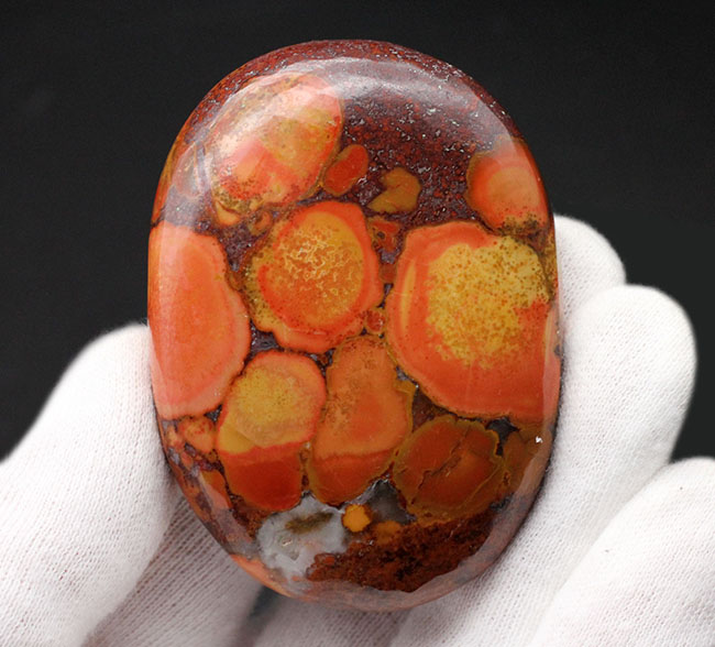 円環状の模様が毒々しい！ジャスパーの王様、キングコブラオービキュラージャスパー（Orbicular Jasper）（その2）