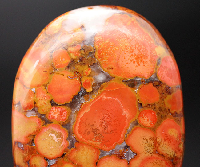 円環状の模様が毒々しい！ジャスパーの王様、キングコブラオービキュラージャスパー（Orbicular Jasper）（その3）