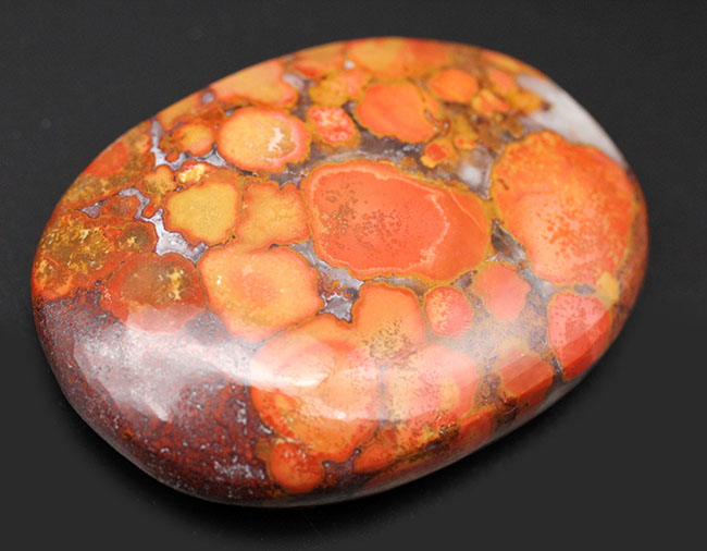 円環状の模様が毒々しい！ジャスパーの王様、キングコブラオービキュラージャスパー（Orbicular Jasper）（その5）