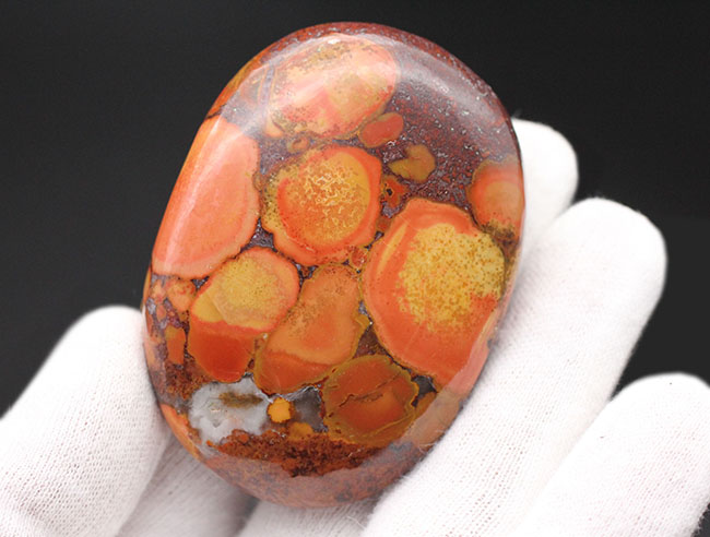 円環状の模様が毒々しい！ジャスパーの王様、キングコブラオービキュラージャスパー（Orbicular Jasper）（その6）