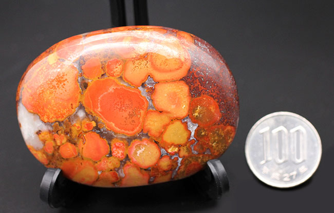 円環状の模様が毒々しい！ジャスパーの王様、キングコブラオービキュラージャスパー（Orbicular Jasper）（その9）