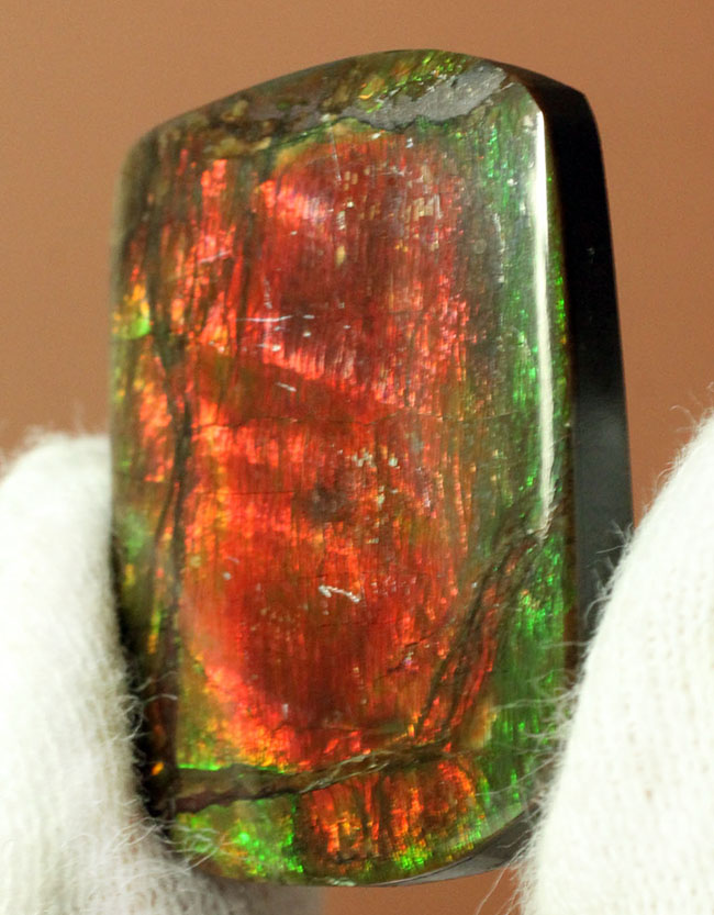赤と緑に染まったカナダ産の生物起源の宝石、アンモライト(Ammolite)のピース(その1)