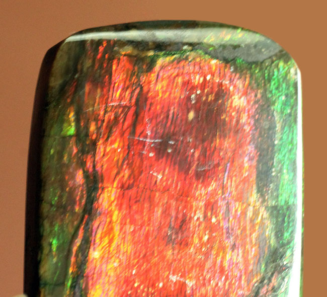 赤と緑に染まったカナダ産の生物起源の宝石、アンモライト(Ammolite)のピース(その2)