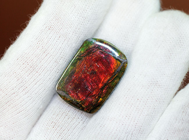 赤と緑に染まったカナダ産の生物起源の宝石、アンモライト(Ammolite)のピース(その4)