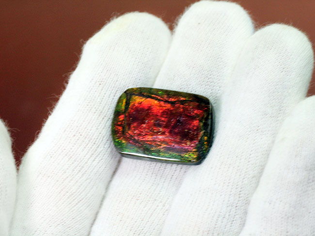 赤と緑に染まったカナダ産の生物起源の宝石、アンモライト(Ammolite)のピース(その5)