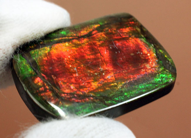 赤と緑に染まったカナダ産の生物起源の宝石、アンモライト(Ammolite)のピース(その8)