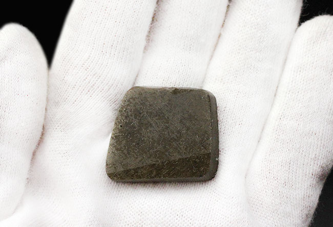 生物起源の宝石の一つ、カナダ・ロッキー山脈の東側斜面でのみ採集されるアンモライト(Ammolite)のピース。ドラゴンスキン模様。(その4)