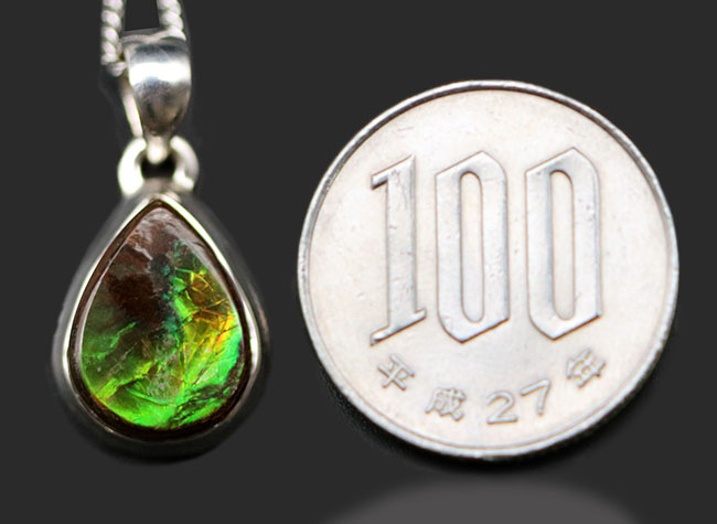 ティアドロップ！深く濃いグリーンを呈する、アンモライトを使ったペンダントトップ（Ammolite）。金具はスターリングシルバー。チェーン、革紐、ジュエリーケース付き（その9）