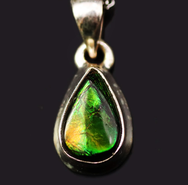 さわやか!今の季節にぴったりの、新緑のグリーンを呈する、カナダ産アンモライト(Ammolite)を使ったペンダントトップ。金具はスターリングシルバー。チェーン、革紐、ジュエリーケース付き(その1)