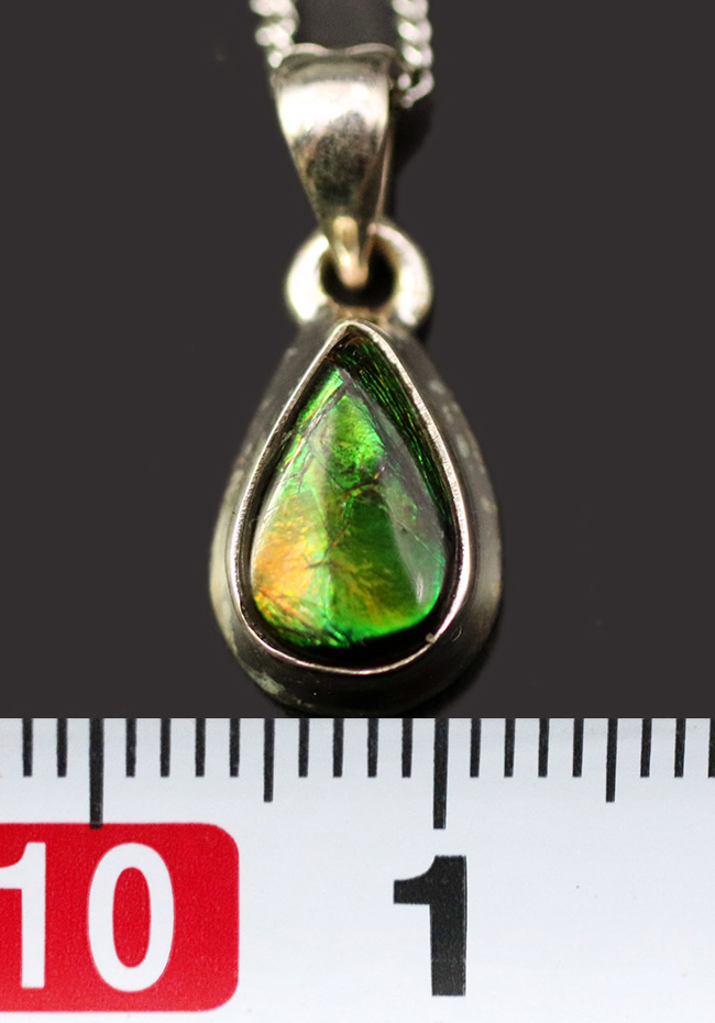さわやか!今の季節にぴったりの、新緑のグリーンを呈する、カナダ産アンモライト(Ammolite)を使ったペンダントトップ。金具はスターリングシルバー。チェーン、革紐、ジュエリーケース付き(その7)