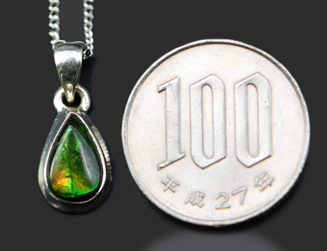 さわやか!今の季節にぴったりの、新緑のグリーンを呈する、カナダ産アンモライト(Ammolite)を使ったペンダントトップ。金具はスターリングシルバー。チェーン、革紐、ジュエリーケース付き(その8)