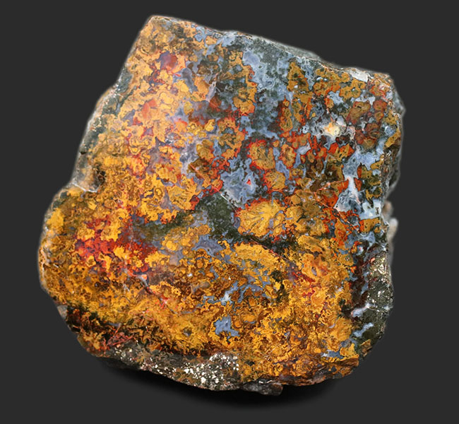 黄、橙を呈する珍しいハンガリー産のメノウ(Agate)。丸模様はストロマトライト(その1)