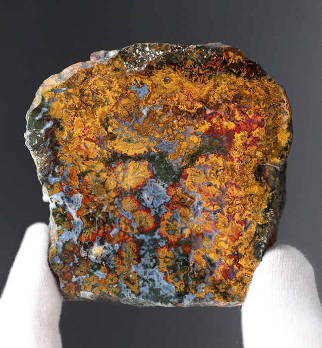 黄、橙を呈する珍しいハンガリー産のメノウ(Agate)。丸模様はストロマトライト(その2)
