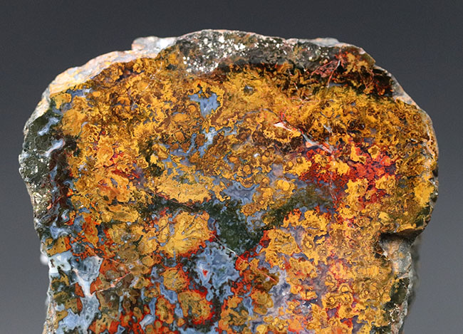 黄、橙を呈する珍しいハンガリー産のメノウ(Agate)。丸模様はストロマトライト(その3)
