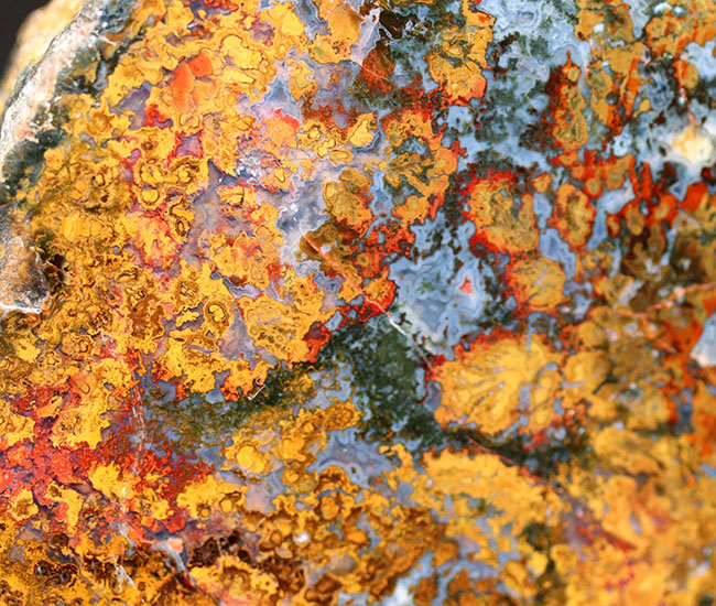 黄、橙を呈する珍しいハンガリー産のメノウ(Agate)。丸模様はストロマトライト(その5)