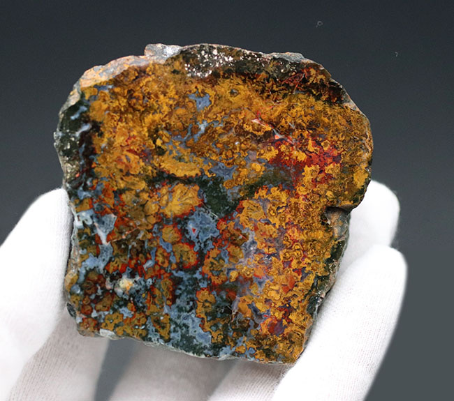黄、橙を呈する珍しいハンガリー産のメノウ(Agate)。丸模様はストロマトライト(その6)