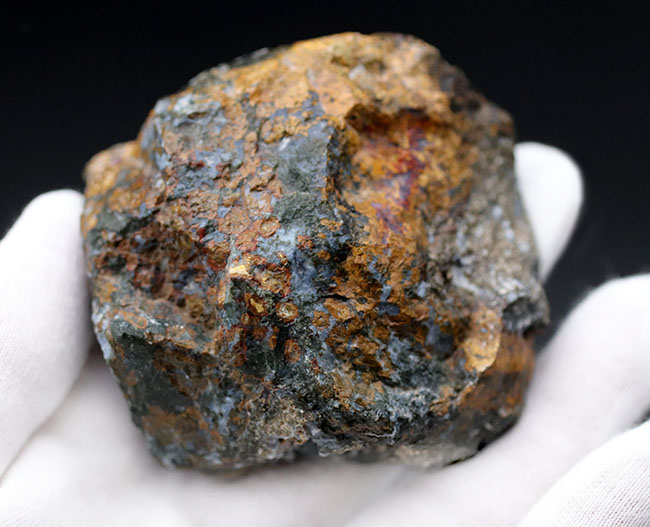黄、橙を呈する珍しいハンガリー産のメノウ(Agate)。丸模様はストロマトライト(その7)