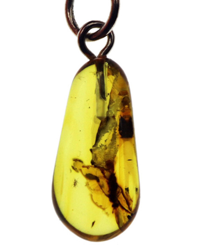 透明度高し！４０００万年前の虫を閉じ込めたバルト海産琥珀（Amber）ペンダントトップ（シルバーチェーン、高級ジュエリーケース付き）（その2）