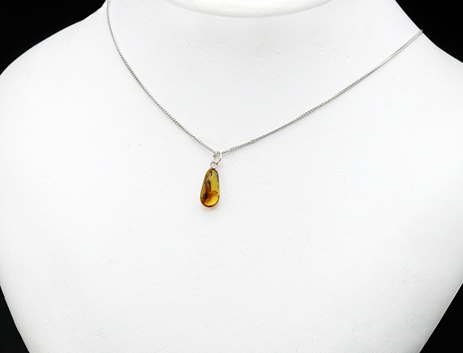 透明度高し！４０００万年前の虫を内包したバルト海産琥珀（Amber）ペンダントトップ（シルバーチェーン、高級ジュエリーケース付き）（その3）