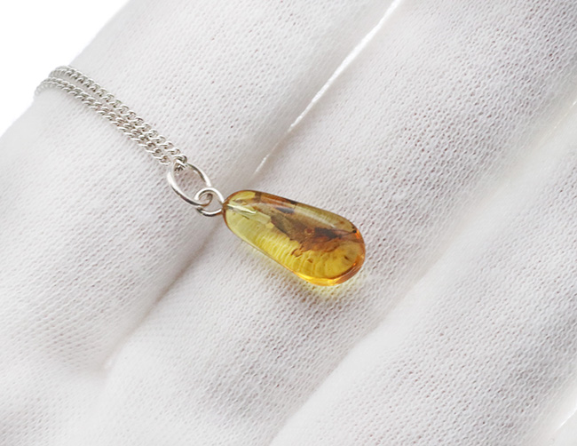 透明度高し！４０００万年前の虫を内包したバルト海産琥珀（Amber）ペンダントトップ（シルバーチェーン、高級ジュエリーケース付き）（その5）