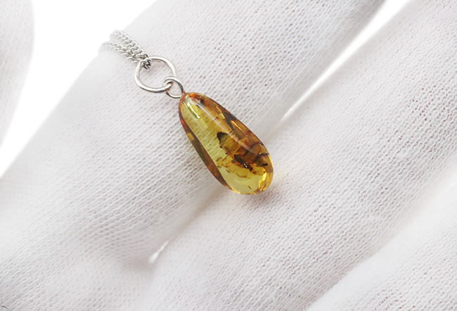 透明度高し！４０００万年前の虫を内包したバルト海産琥珀（Amber）ペンダントトップ（シルバーチェーン、高級ジュエリーケース付き）（その6）