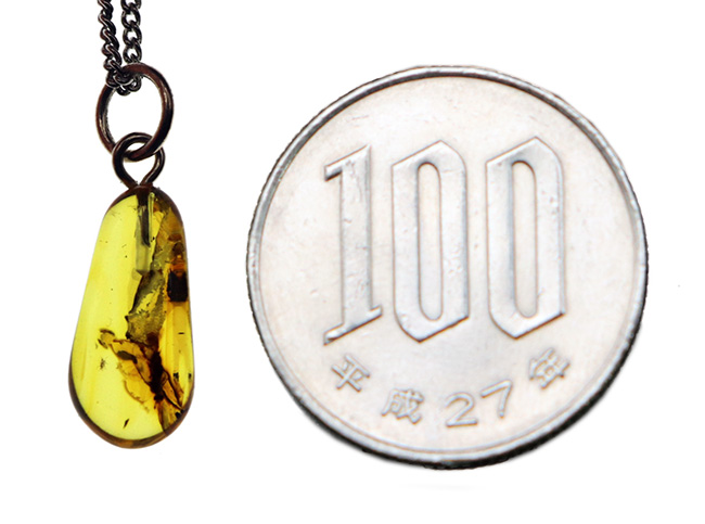 透明度高し！４０００万年前の虫を内包したバルト海産琥珀（Amber）ペンダントトップ（シルバーチェーン、高級ジュエリーケース付き）（その9）